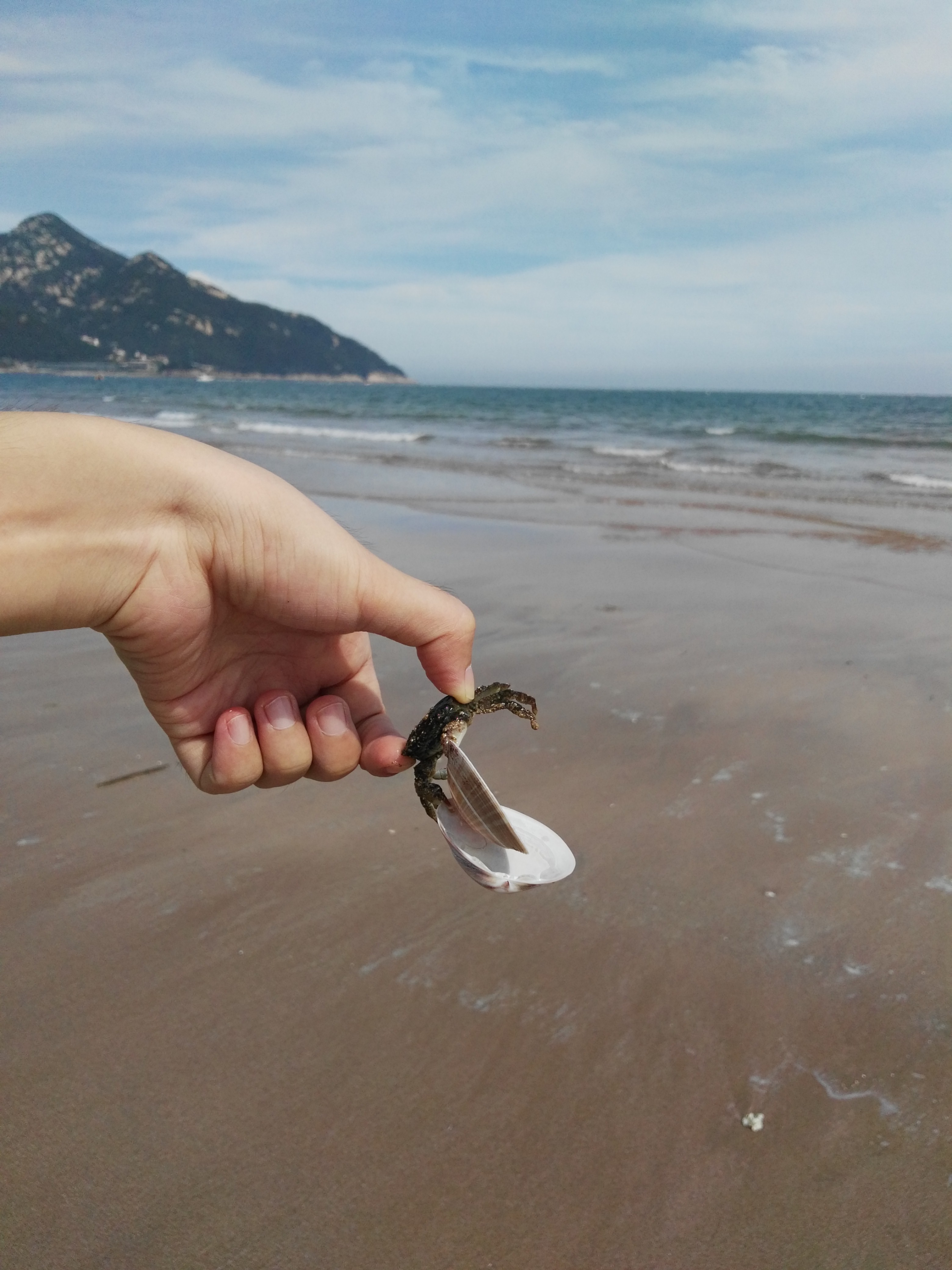 青岛最干净的海洋,青岛最美丽的海