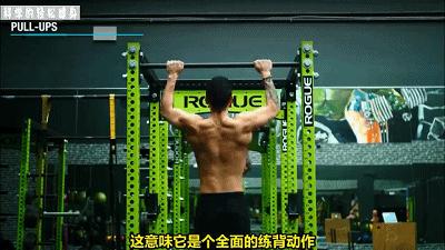 背部肌肉训练计划虐出完美的背肌,背部各个肌肉位置锻炼方法