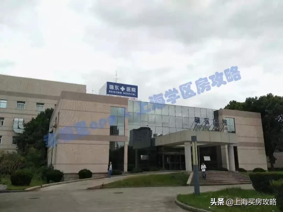 爱建园小区最好的楼盘,上海碧云爱建园复式