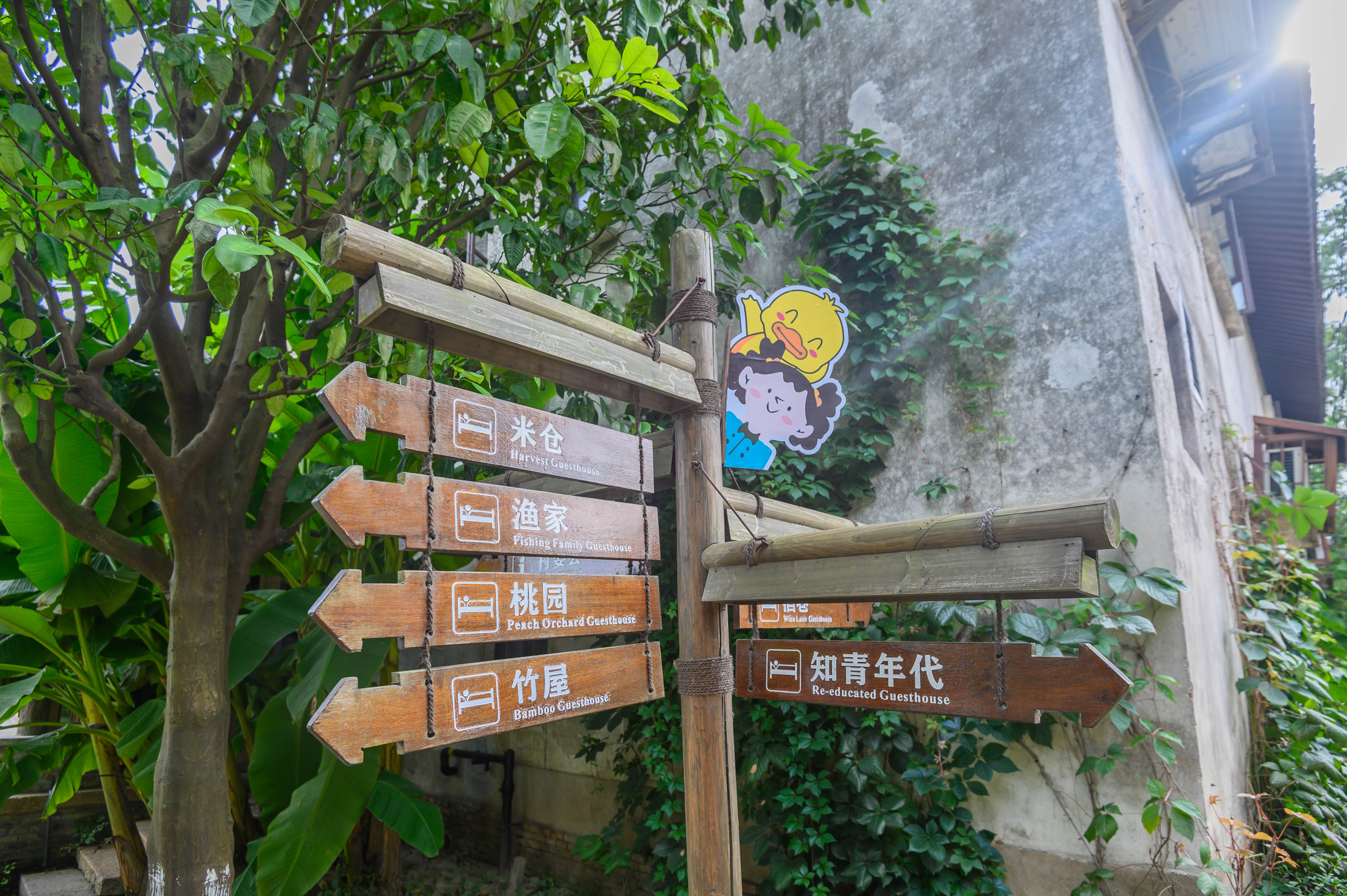 知道乌村吗，孩子来了就不愿离开，住乌村去西栅可以省150元