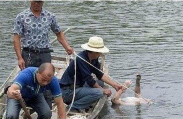 水鬼培训要什么条件,水鬼一般月薪多少