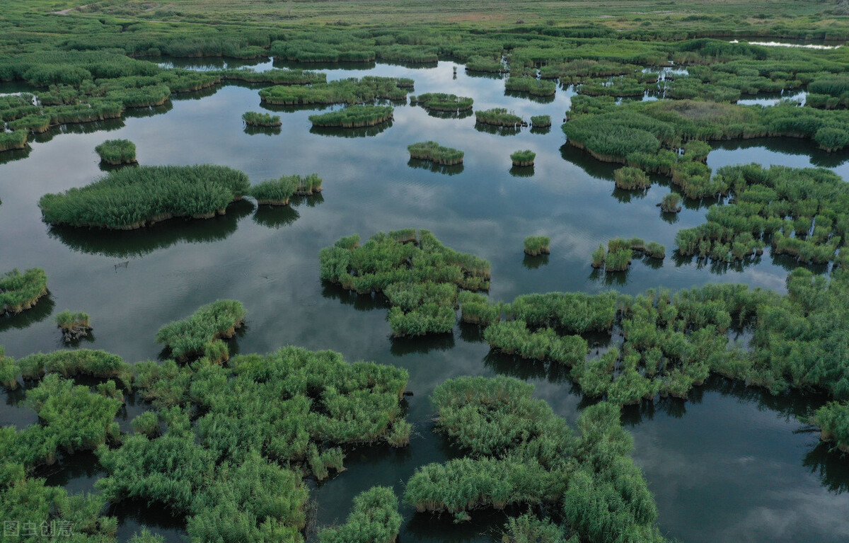 神秘消失的古国完整版,神秘消失的古国全集