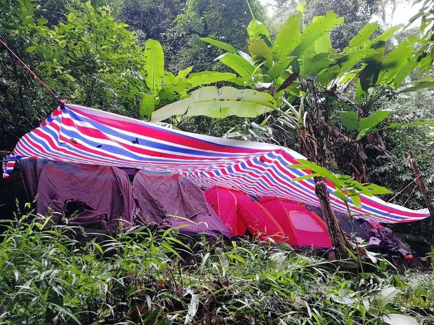 一群90后学霸，嚷嚷着要给它们找对象：自己单身不要紧