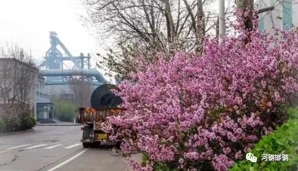 娌抽挗閭挗閾佽矾,娌抽挗閭挗楂樼倝