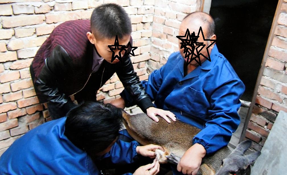 片仔癀秘方国家保密,片仔癀是国家两大绝密配方之一