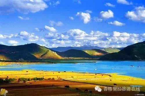 丽江去香格里拉路途中有什么景点,丽江到香格里拉走214国道打卡景点