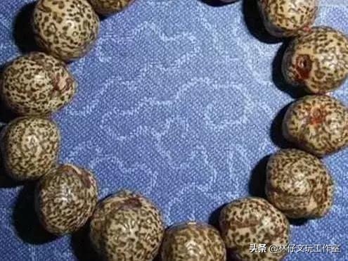 文玩菩提怎么盘好玩图解,文玩菩提入门盘什么