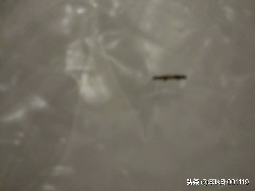 一颗牙的故事绘本,一颗完整的牙故事