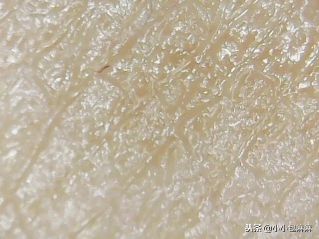 安全平价的国货宝宝霜,网红宝宝霜哪个牌子好用