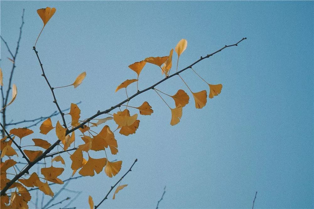 西安八月约会最佳地点,西安周末情侣最适合约会的地方