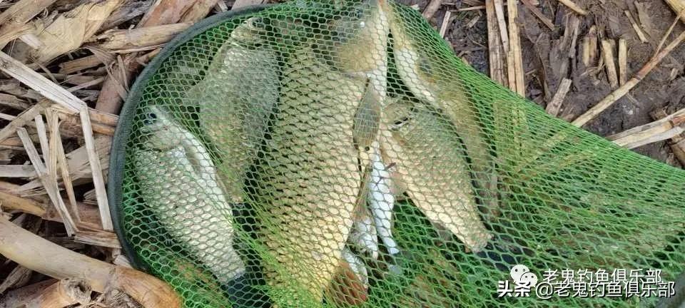 济南天气多变,济南天气变化