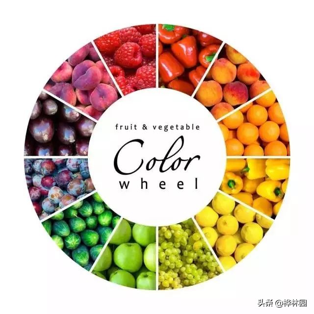 世界级美人“高颜值”“好气质”“魔鬼身材”原来可以吃出来的