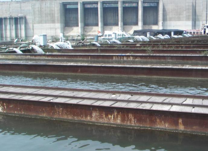 水库网箱养殖经济效益怎么样,综合养鱼怎么经济效益最好