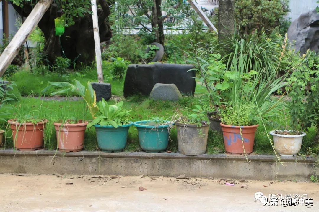 云南腾冲银杏村杙春园客栈对外招租，只为等待有缘的你