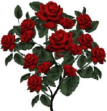 5201314，送你999玫瑰花，祝你爱情甜甜蜜蜜