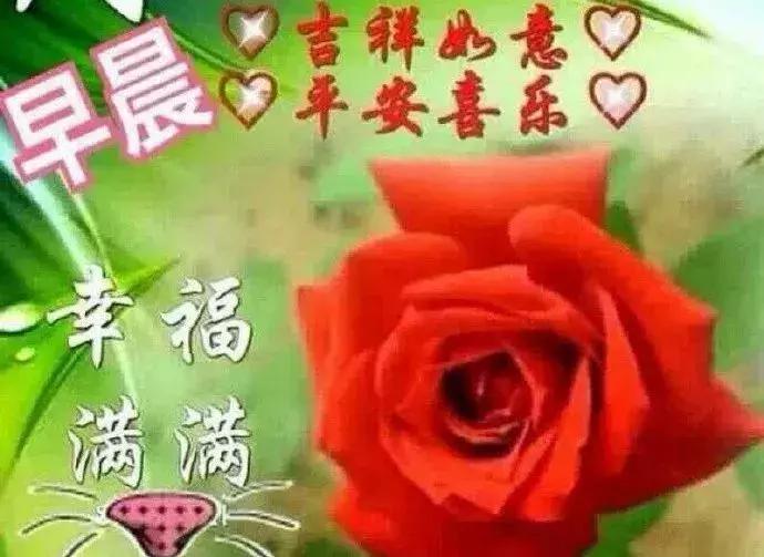 清晨的第一声问候送给你,清晨的第一声问候送给最想念的你