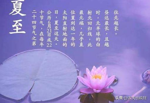 夏至三庚数头伏怎么说呢,夏至三更数初伏是啥意思