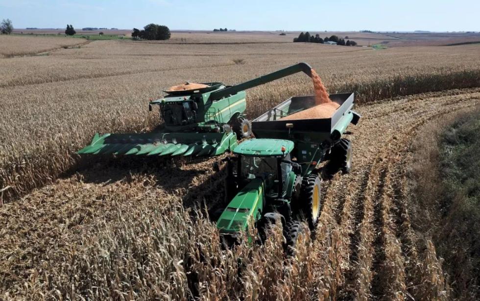 美国人越穷越胖,美国人为什么很穷还那么胖