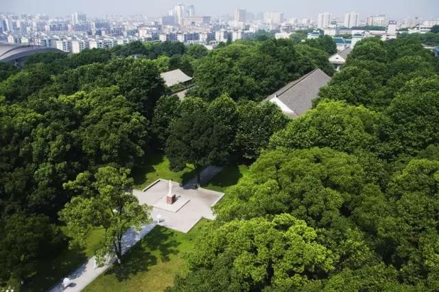 神仙颜值学校,神仙颜值校园