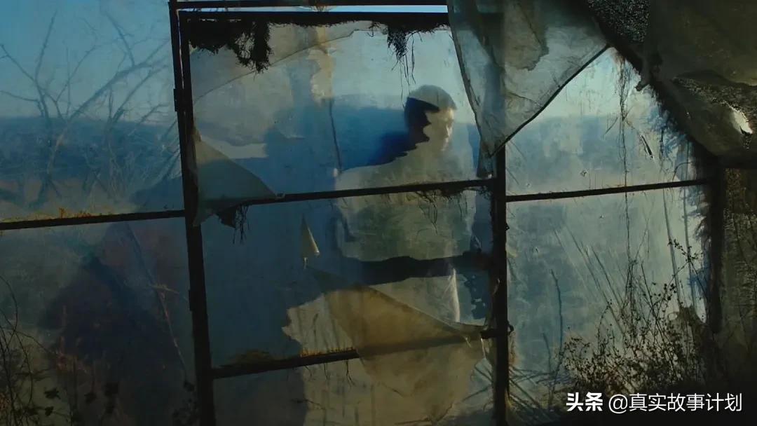 我在社区当社工,我在社区帮忙的一天