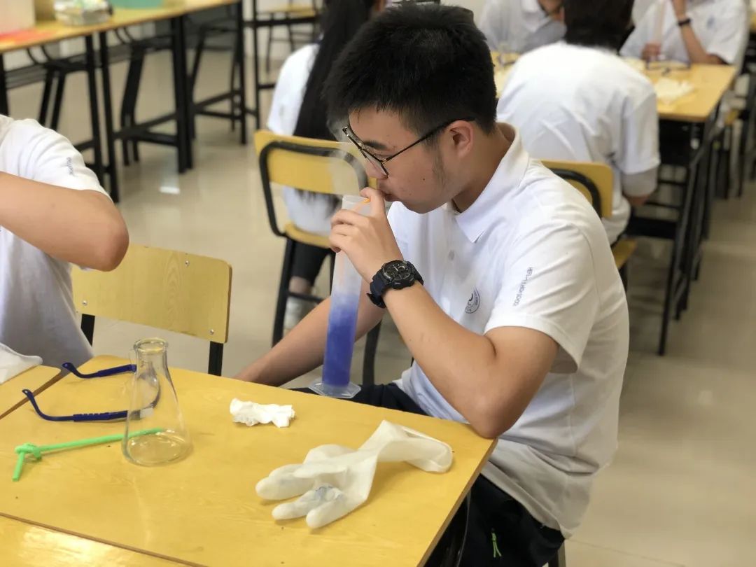 合肥一中蒙特威,合肥一中美国蒙特威高中学费