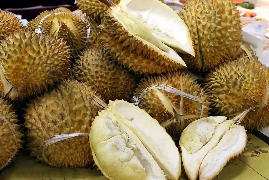 一棵树一年结400多颗榴莲,榴莲一股酒味还有点苦