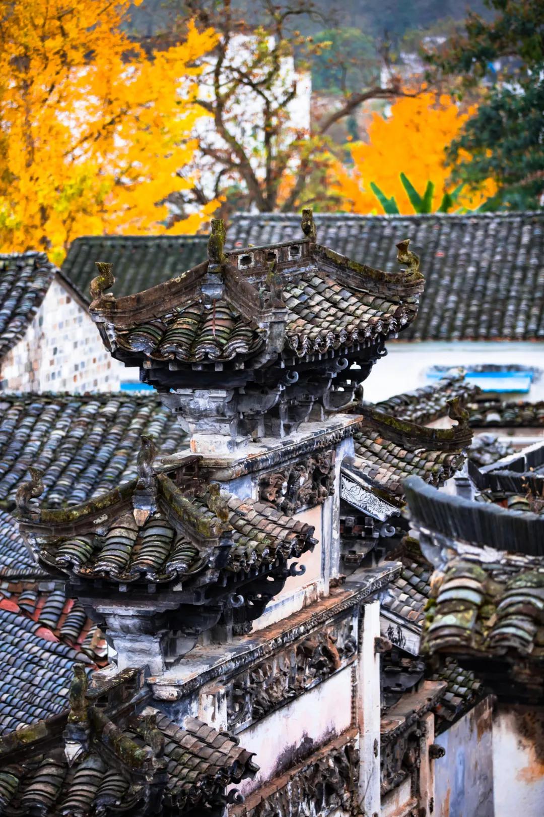 秋天的杭州自驾游,杭州秋冬自驾