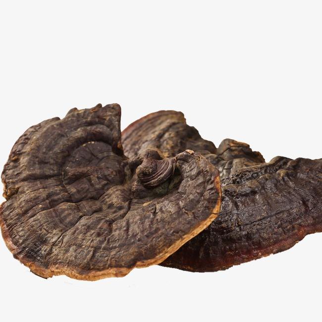 灵芝是不是食药同源普通食品,灵芝是治病的药材吗还是保健品