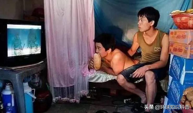 越南的奇闻奇事,越南趣闻