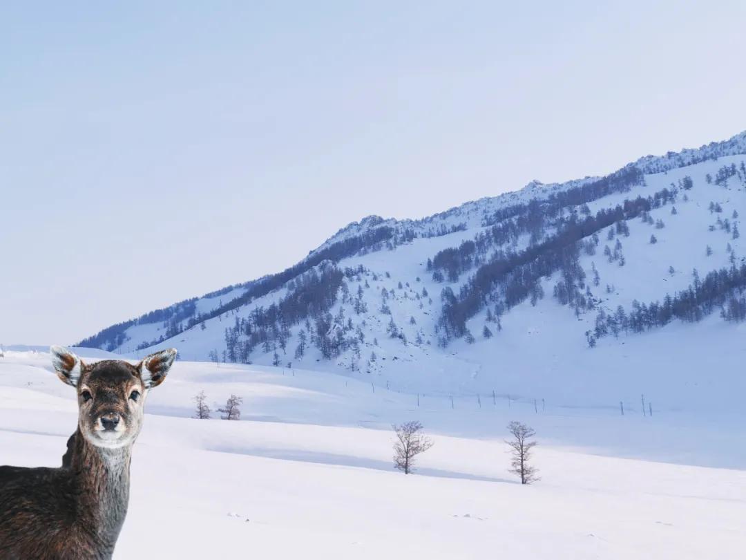 醒图app人像修图使用教程,网红app修图教程