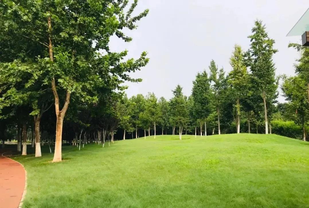 中建京西印玥特价房,中建京西印玥幸福里样板间