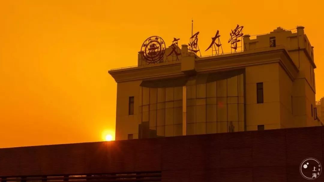 上海宋城免费景点,上海一日游攻略必去景点免费