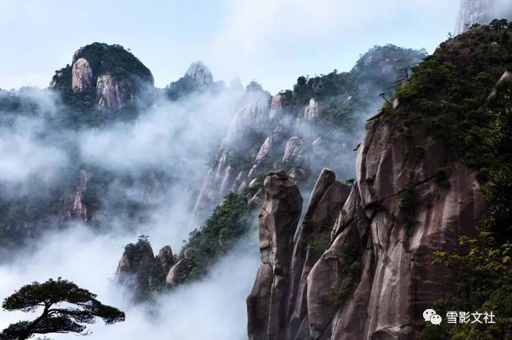 赵军|颖滨尚见荷钱小,堤岸时逢柳色新