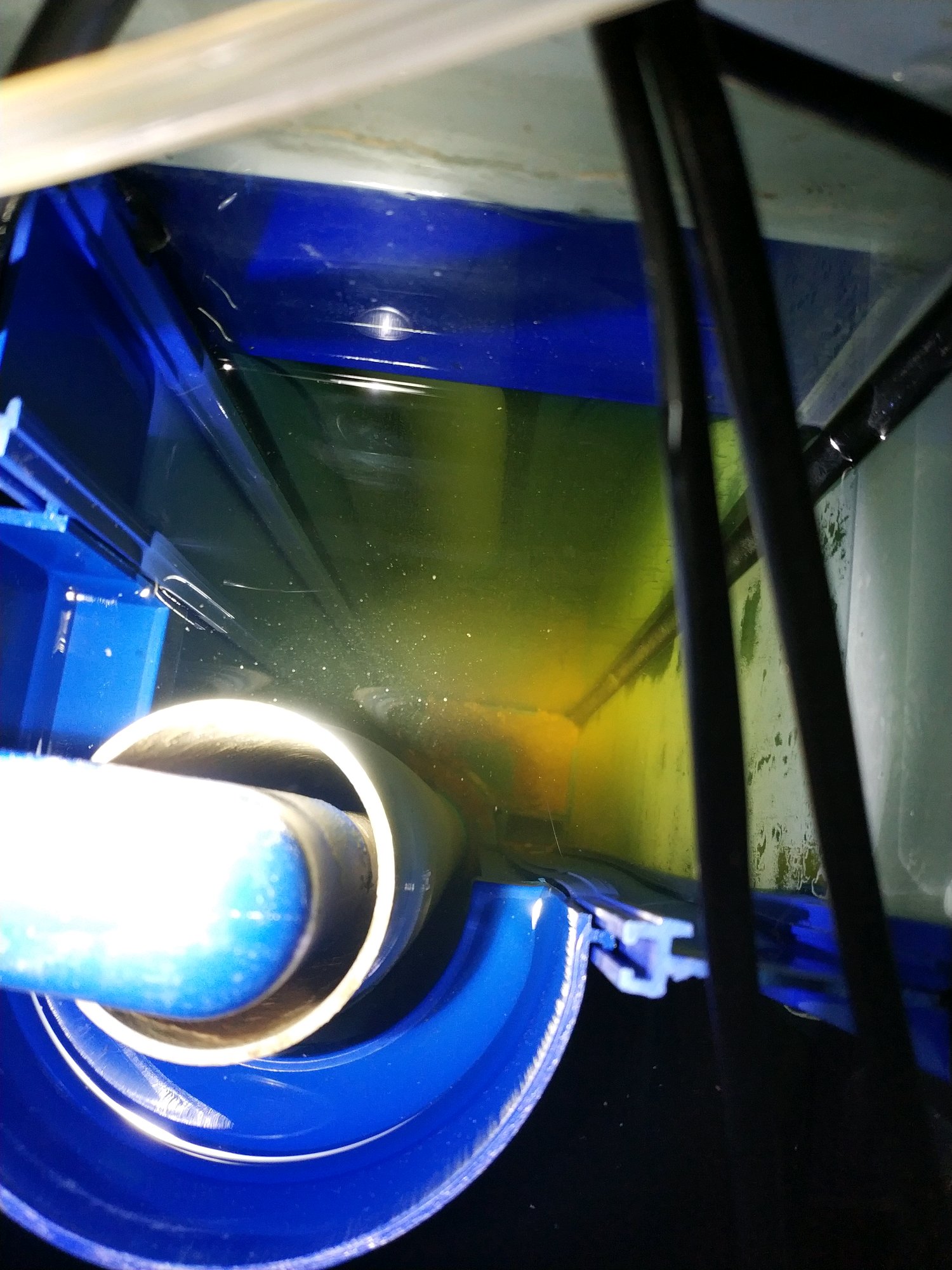 底滤鱼缸里的鱼粪抽不走怎么办,底滤鱼缸为什么吸不走缸底的粪便