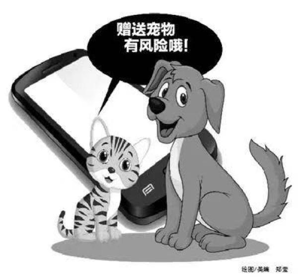 石家庄一女子兼职“抖音点赞员”，被诱导不断交钱升级