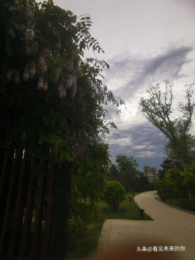 烟台开发区福莱山公园最新消息,烟台开发区福莱山公园喷泉时间