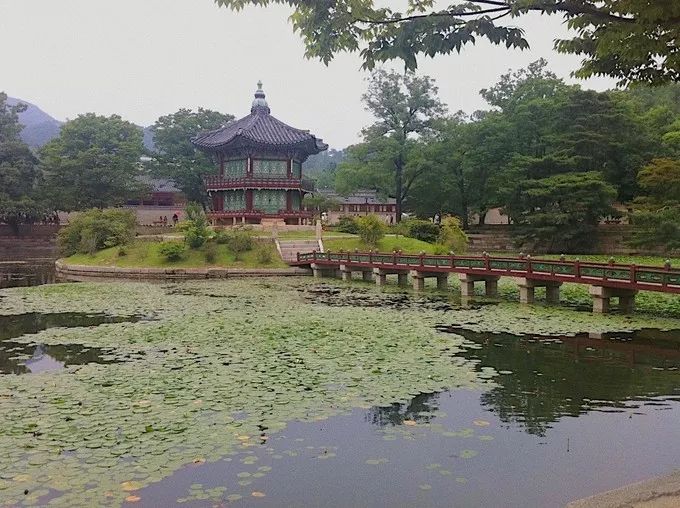 济州岛到首尔炸鸡啤酒和派对