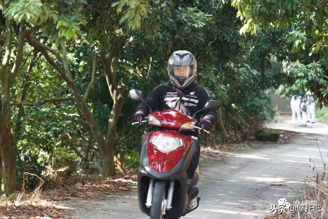 新大洲本田ns125d对比本田喜鲨125,五羊本田喜鲨125对比新大洲ns125d