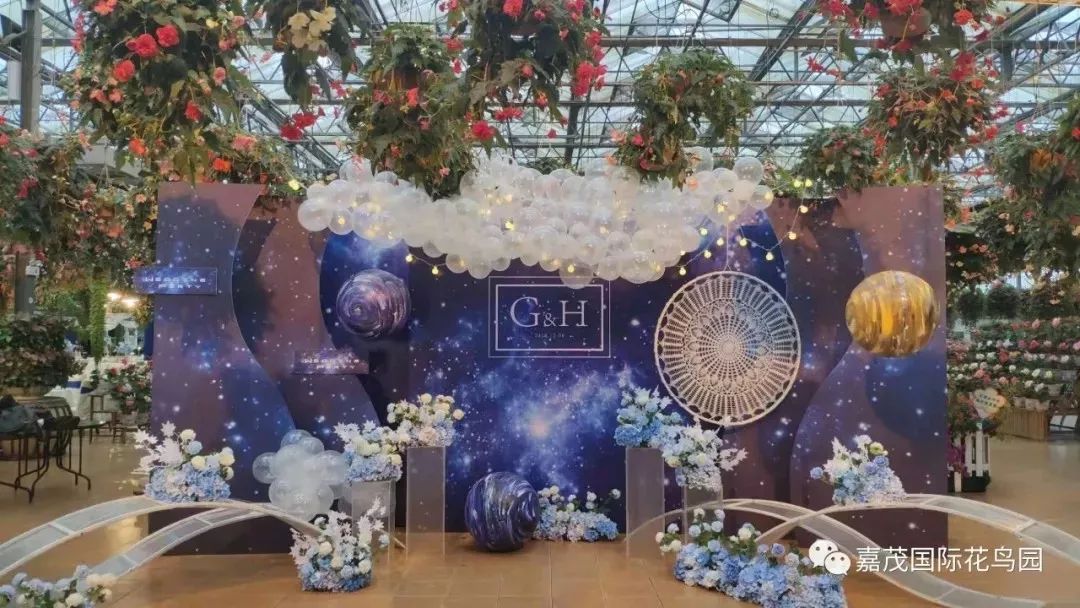 江阴嘉茂国际花鸟园,江阴嘉茂国际花鸟园什么时候再开