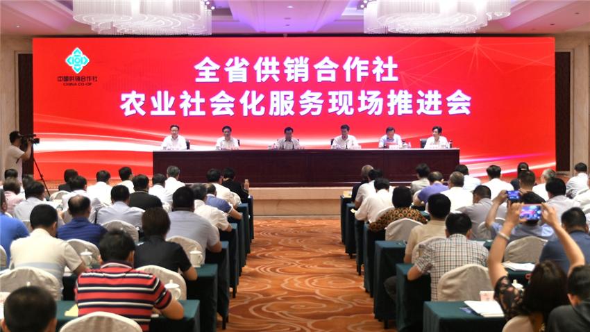 江苏供销让农民当上甩手“田掌柜”