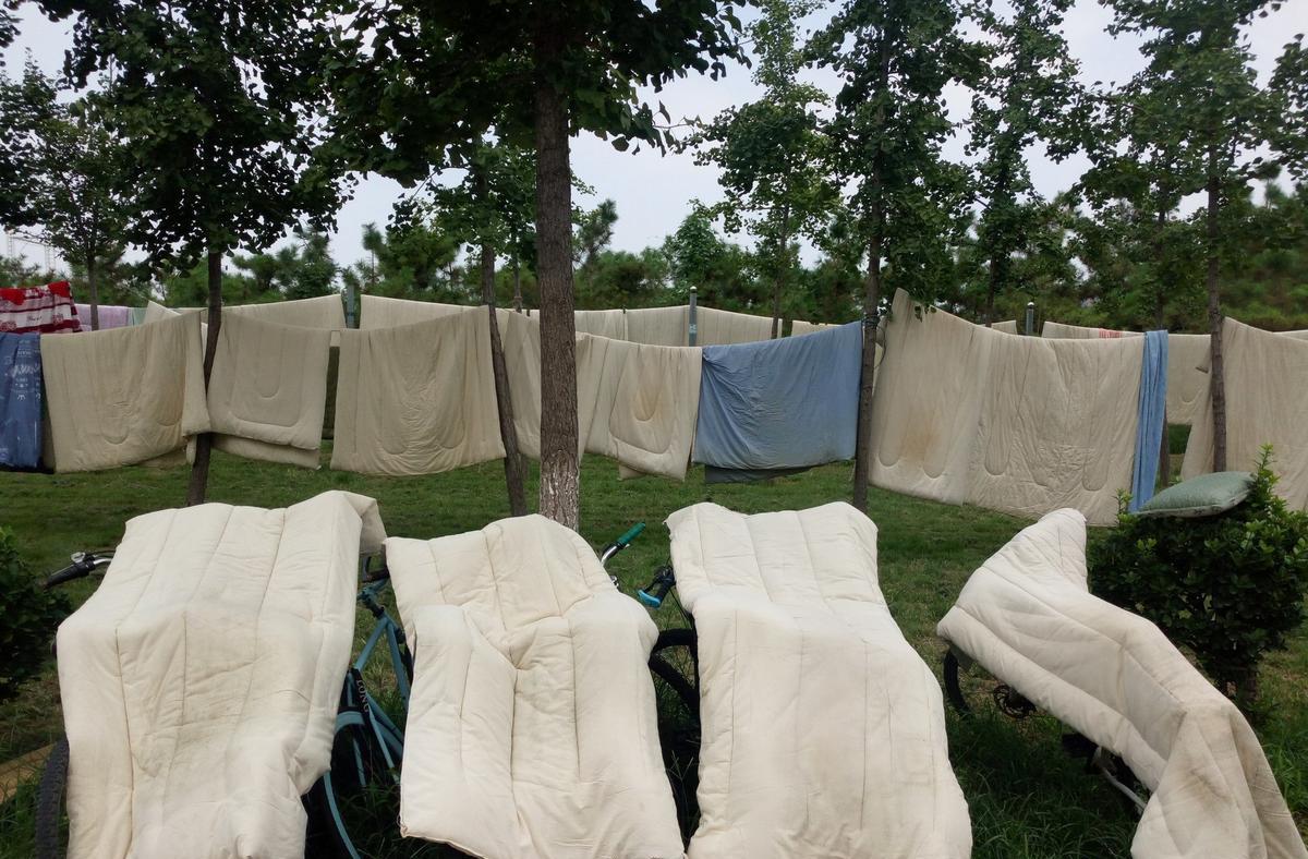 开学被褥发霉怎么办,宿舍被子受潮发霉怎么办