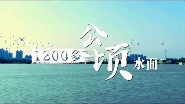 西安浐灞为什么会崛起,浐灞属于未央区吗