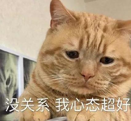 2022届高三一模长春出成绩了吗,长春市2024级高三一模成绩