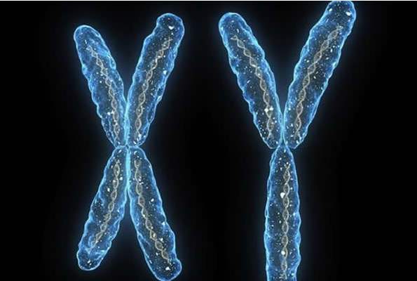 人的小脚指甲为什么是畸形的,小脚趾甲不分瓣的是什么种族