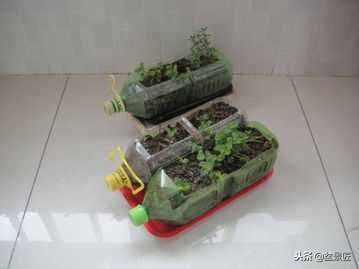 废物改造花盆绿植,旧物改造吊兰花盆