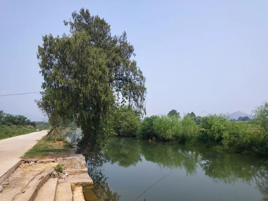 走遍广西所有乡镇,走遍广西100个县兴安县