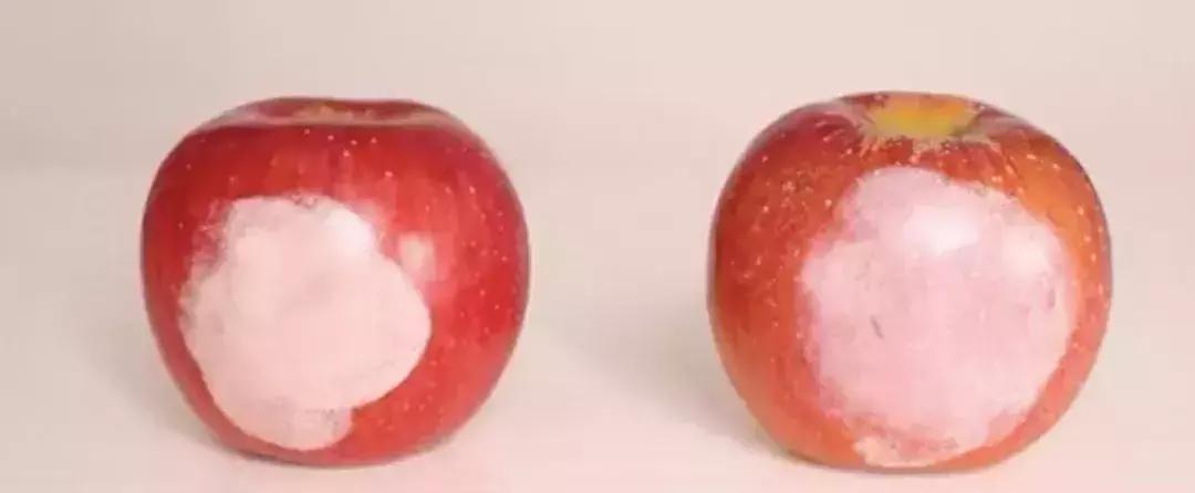 欧阳娜娜安利的能量棒,欧阳娜娜祛痘膏多少钱