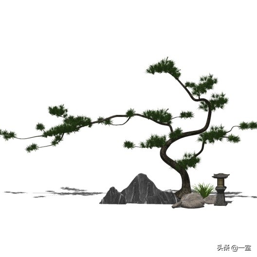 网红庭院植物搭配,网红绿植搭配技巧