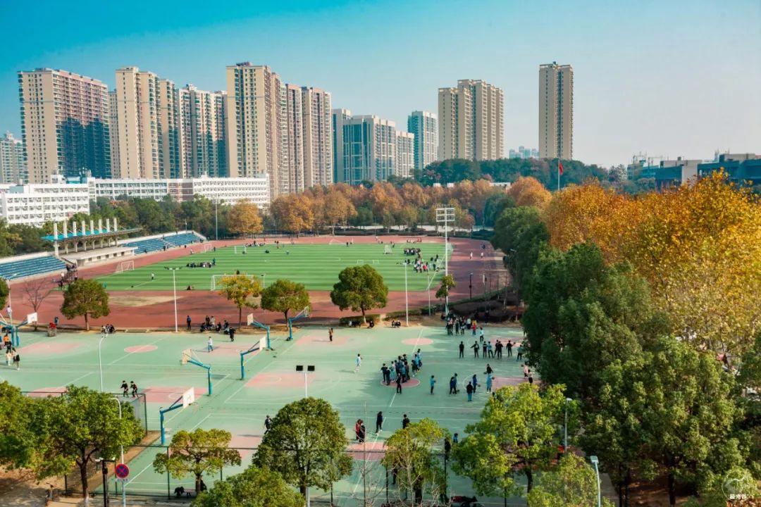 不输武大樱花，文华学院美“枫”了