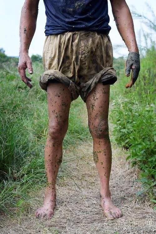 高效养殖蚂蝗,蚂蝗养殖致富经